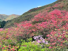 -大围山国家森林公园