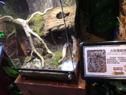 -酷嗒动物文化乐园(cutezoo西溪乐天城店)