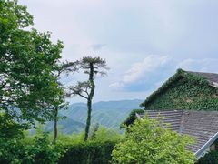 -莫干山风景区