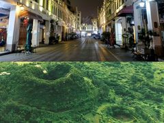 -海南热带野生动植物园