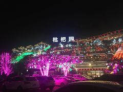 -枇杷园食为鲜火锅(南山店)
