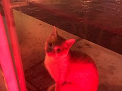 -琶醍壹号•潮菜江景餐吧