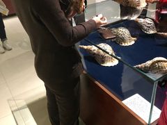 -青岛贝壳博物馆