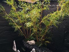 -宫七SPA·高端Massage(浦东大道店)