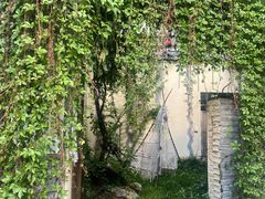 -饵块食光·云南有机手作饵块