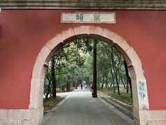 -灵谷景区
