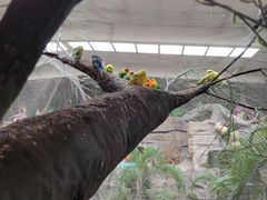 -南宫五洲植物乐园