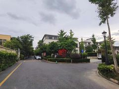 -大华梧桐墅大公馆