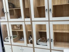 -爱洗澡的猫(天河路店)