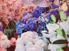 -纯K(打浦桥店)