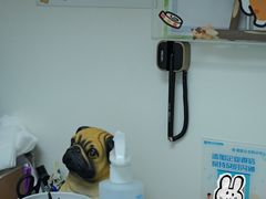 -美联众合动物医院·24h转诊中心