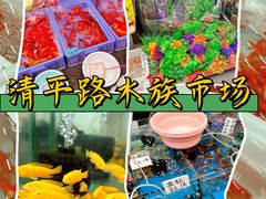 -清平路水族市场