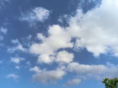 -上海月湖雕塑公园