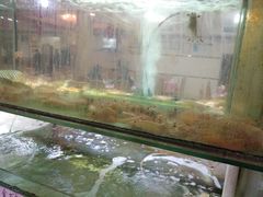 -金生美食(贵州路店)