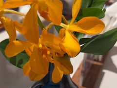 -狮王府淮扬菜(夫子庙老门东店)