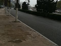 -洪家楼教堂