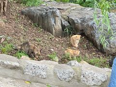 -北京西山国家森林公园