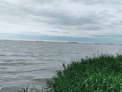 -上海吴淞炮台湾国家湿地公园