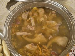 -百利鸽王(紫薇路店)