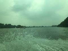 -溱湖国家湿地公园