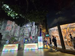 -泉城欧乐堡海洋极地世界