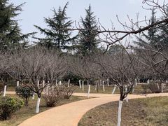 -宝鸡植物园
