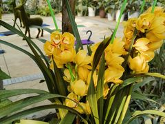 -国家植物园南园