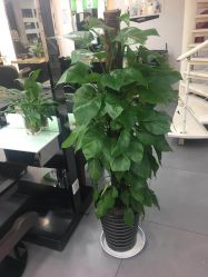 -永琪美容美发