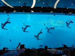 -瑞德姆美人鱼海底演艺主题餐厅(亚龙湾店)