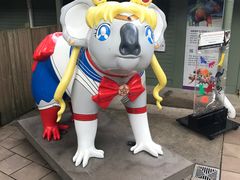-可伦宾野生动物保护区