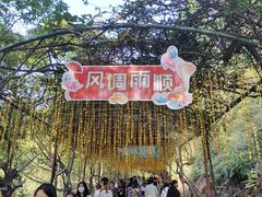 -三水森林公园