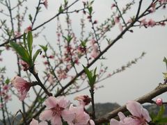 -大罗山风景区