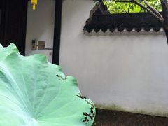 -孔氏南宗家庙