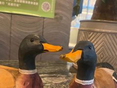 -金鸭季·北京烤鸭(深业上城店)