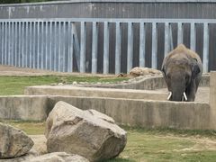 -上方山森林动物世界