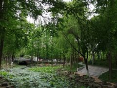 -大宁公园