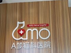 -御宝贝·A梦猫科宠物医院(国际猫友好医院)