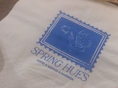 -春庄咖啡SpringHues(钟楼小区店)