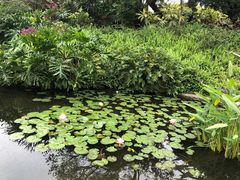 -晓港公园