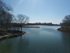 -大兴滨河森林公园