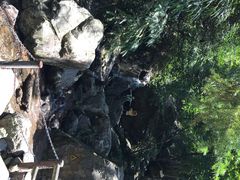 藏龙百瀑-藏龙百瀑风景区