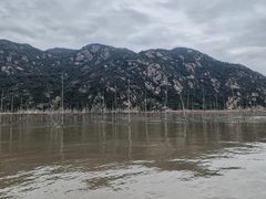 -北岐滩涂