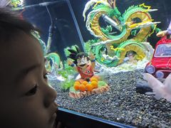 -重庆欢乐海底世界
