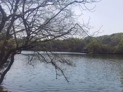 -紫霞湖公园