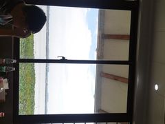 -七的湖·晚芳亭·阳澄湖农家菜·大闸蟹(莲花岛店)