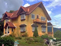 -黄色小屋