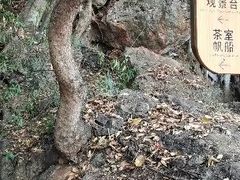 -抚仙湖禄充风景区