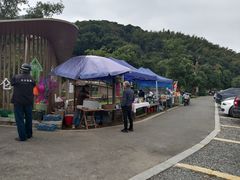 -北仑森林植物园