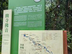 -莫里热带雨林景区