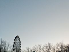-青城公园